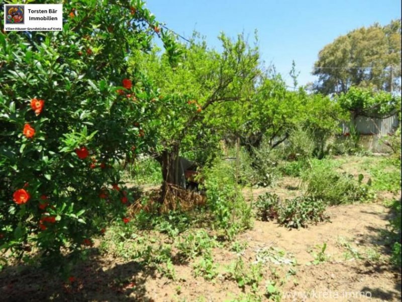 Sitia Kreta, Sitia, Haus mit großem Garten in Strandnähe zu verkaufen in Sitia Haus kaufen